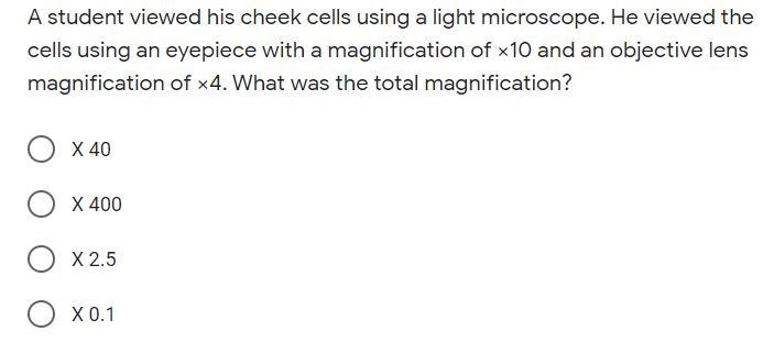 What was the total maginification (25 points)-example-1