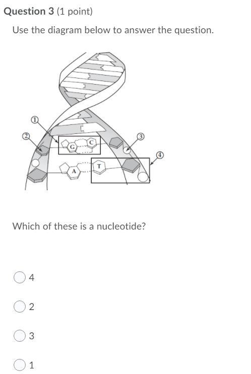 HELP PLEASE ITS TIMED-example-1