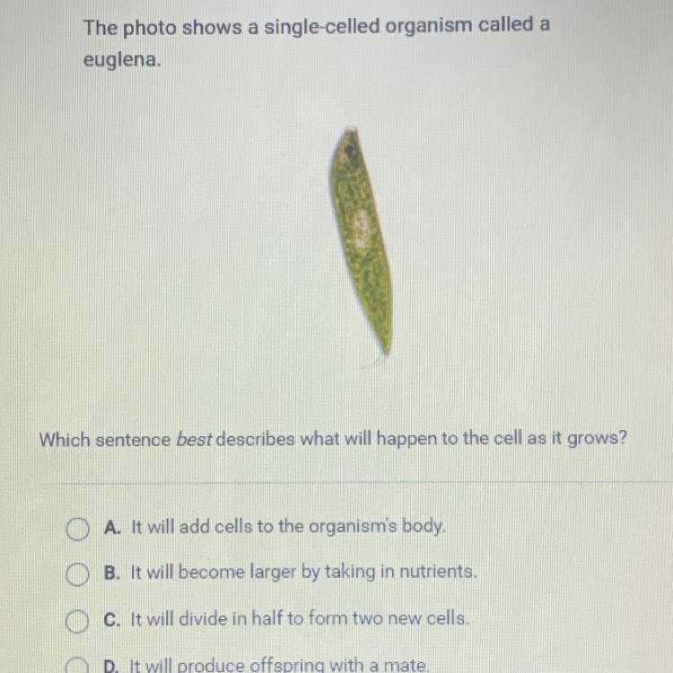 The photo shows a single-celled organism called a euglena. Which sentence best describes-example-1