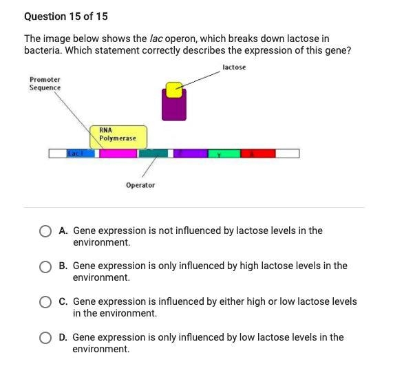 Please answer ASAP, the assignments in due really soon :) 30 Points!!! The image below-example-1