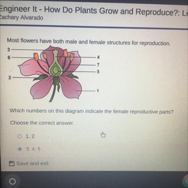 Most flowers have both male and female structures for reproduction.....PLEASE HURRYYYY-example-1