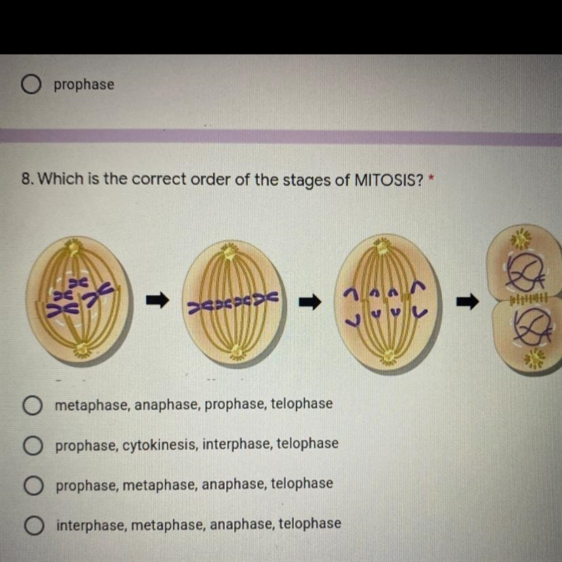 Which is the correct order of the states of MITOSIS?-example-1