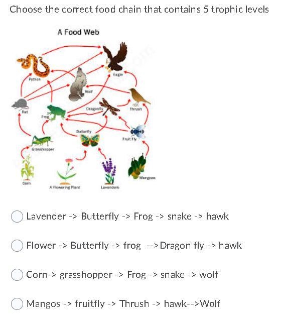 Choose the correct food chain that contains 5 trophic levels-example-1