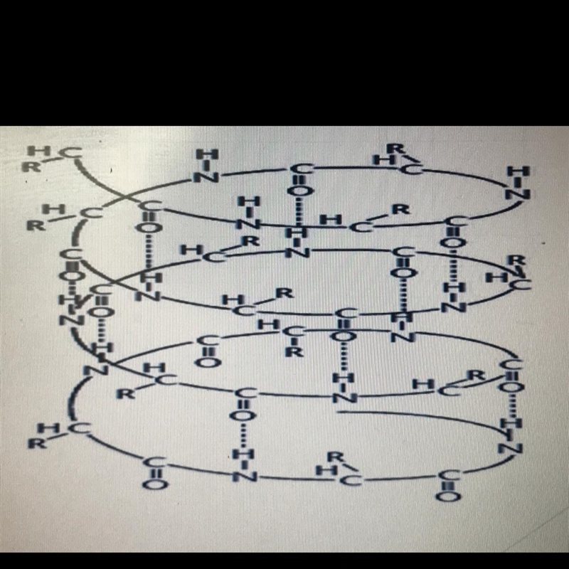 Is it carbohydrate, lipid, protein or nucleic acid? HELPPPP!-example-1