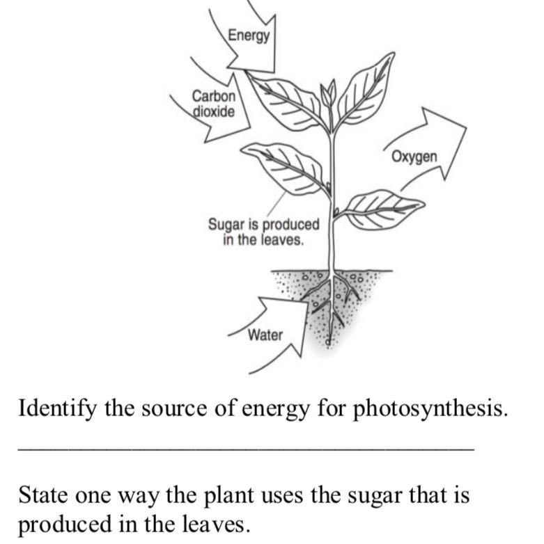 Base your answers to the following questions on the diagram below and on your knowledge-example-1