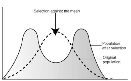 The picture is showing what type of selection. Select one: a. directional selection-example-1