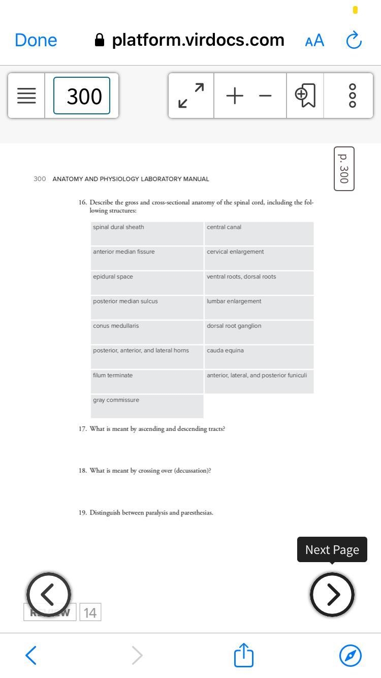 I need help with anatomy-example-4