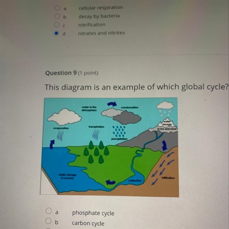 This diagram is an example of which global cycle? phosphate cycle carbon cycle water-example-1