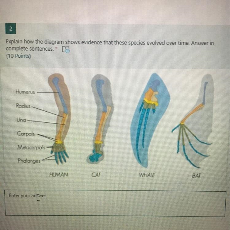 HELP!!!! Explain how the diagram shows evidence that these species evolved over time-example-1