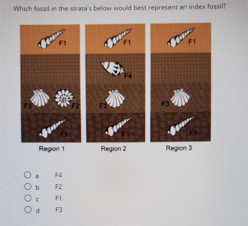 Please help me I really need answers ​-example-1