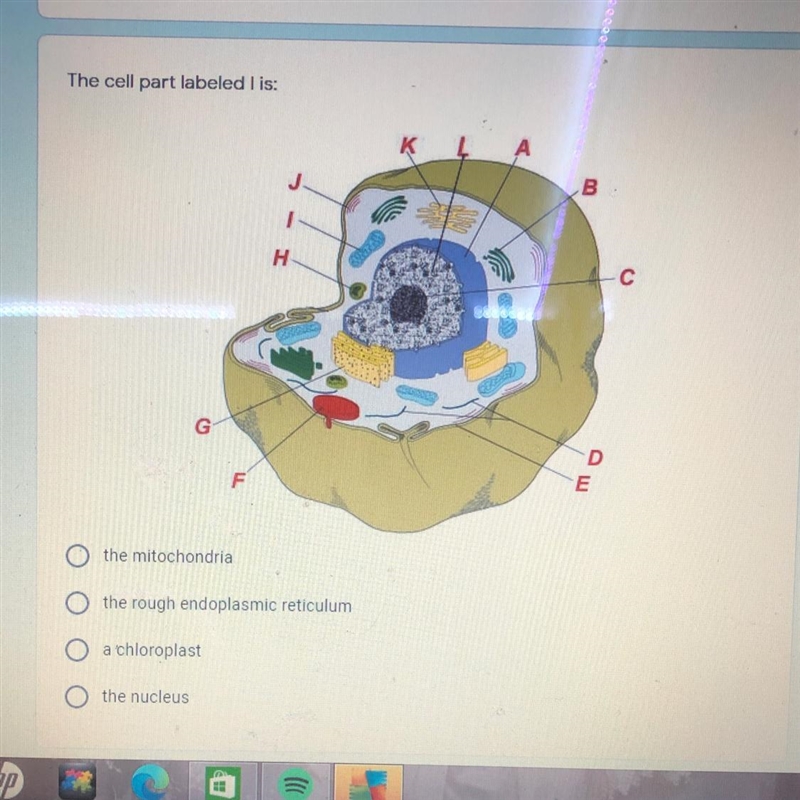 Please help me with this question:)-example-1