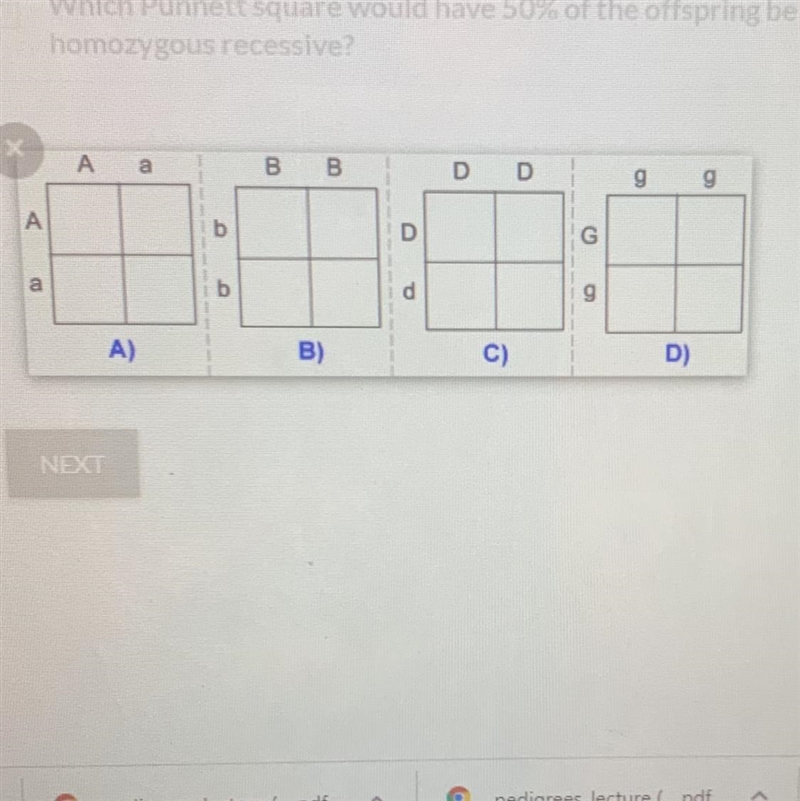 Which Punnet square would have 50% of the offspring be heterozygous and 50% of the-example-1