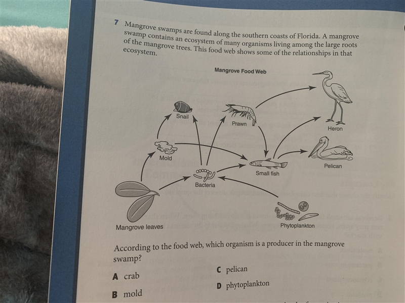 Please help me this is hard for me-example-1