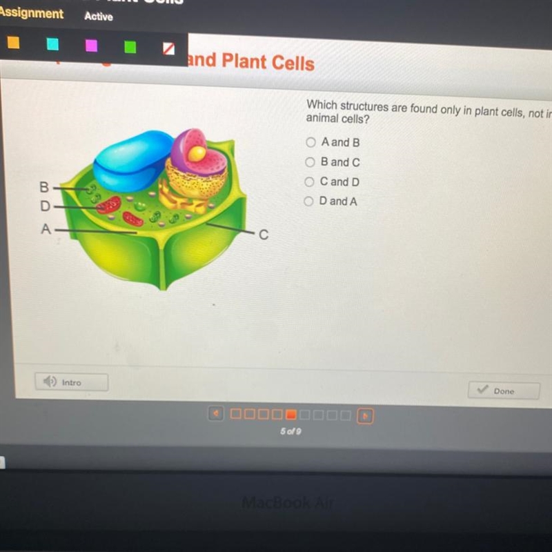 Comparing Animal and Plant Cells Which structures are found only in plant cells, not-example-1