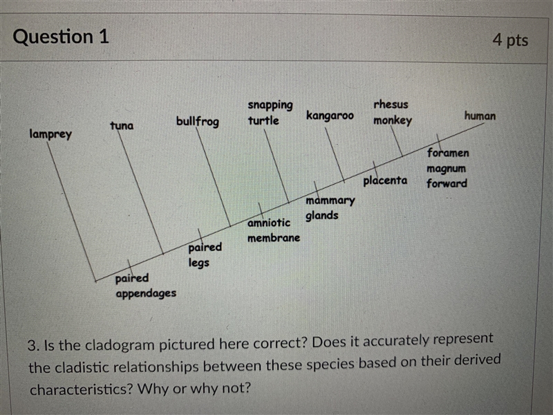 Is the cladogram pictured here correct? Does it accurately represent the cladistic-example-1