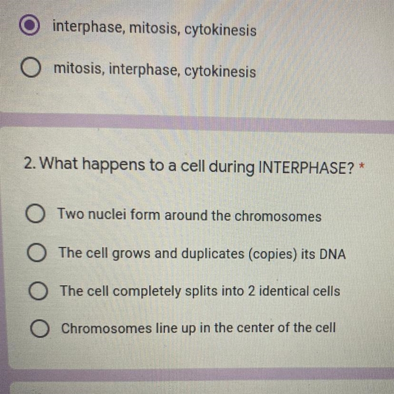 What happens to a cell during INTERPHASE?-example-1