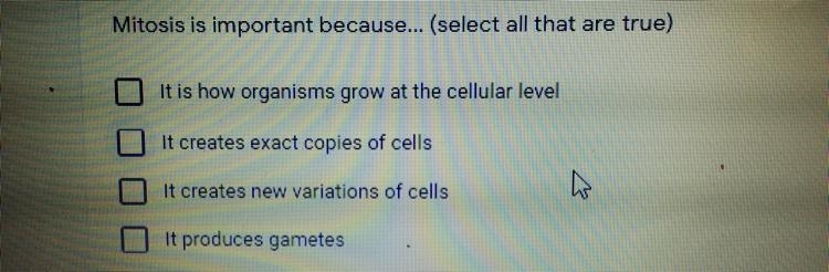 Please help (select all that are true)-example-1