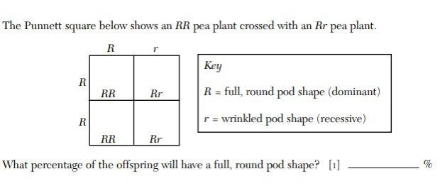 (Choices for the question in the picture) A.25% B.50% C.100% D.75% 2.Using the Punnett-example-1