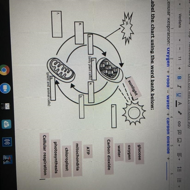 Label the chart using the word bank below: Can anybody help?-example-1