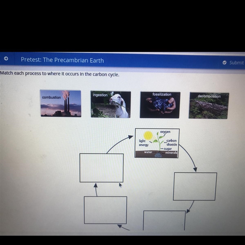 PLEASE HELP!!! (plato)Match each process to where it occurs in the carbon cycle.-example-1