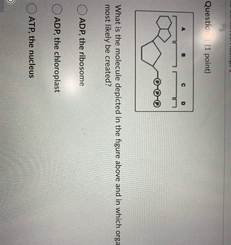 Help idk what this is-example-1