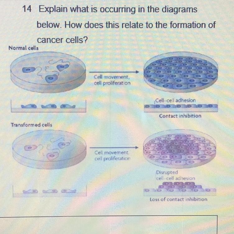 Please help me plz :(-example-1