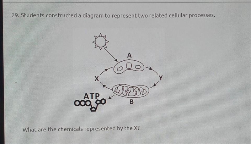 Hi please help! Answer choices: a. C6H12O6+ O2 b. C6H12O6+ CO2 C. H2O +O2 D.H2O+O-example-1