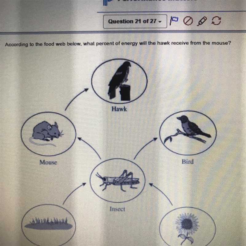 What percent will the hawk recieve from the mouth-example-1