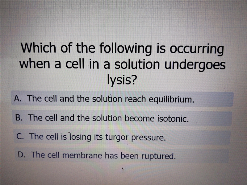 What is this? Please answer with an explanation-example-1