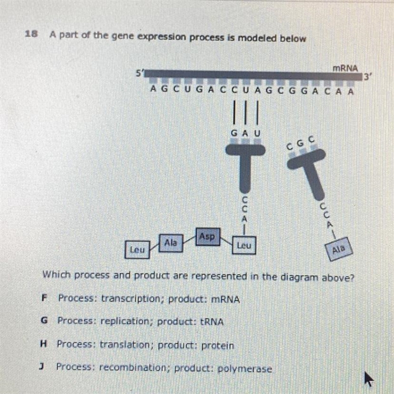 Someone help me. Pls explain your answer and if you don’t know pls let someone that-example-1