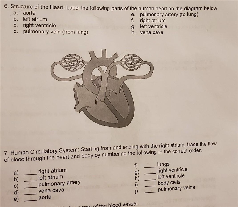 hey help if you know this please, it doesn't have lines indicating to where so I'm-example-1