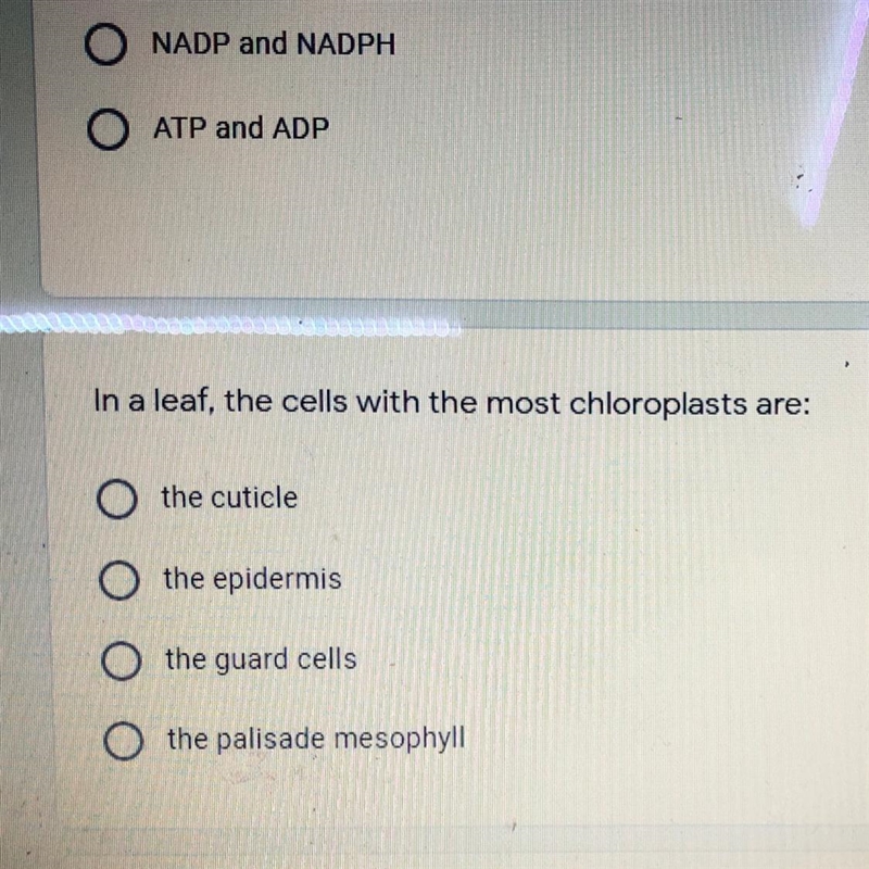 PLEASE HELP ME WITH THIS QUESTION-example-1