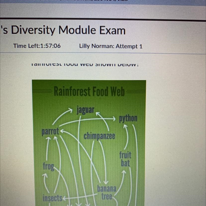 Which of the following explains the role of fungi and slime molds as pictured in the-example-1