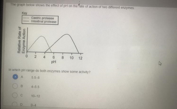 Biology enzymes! Help me somebody please. Am I correct?-example-1