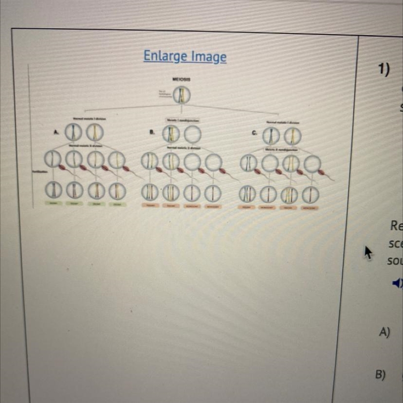 Without genetic variation, some of the basic mechanisms of evolutionary change cannot-example-1