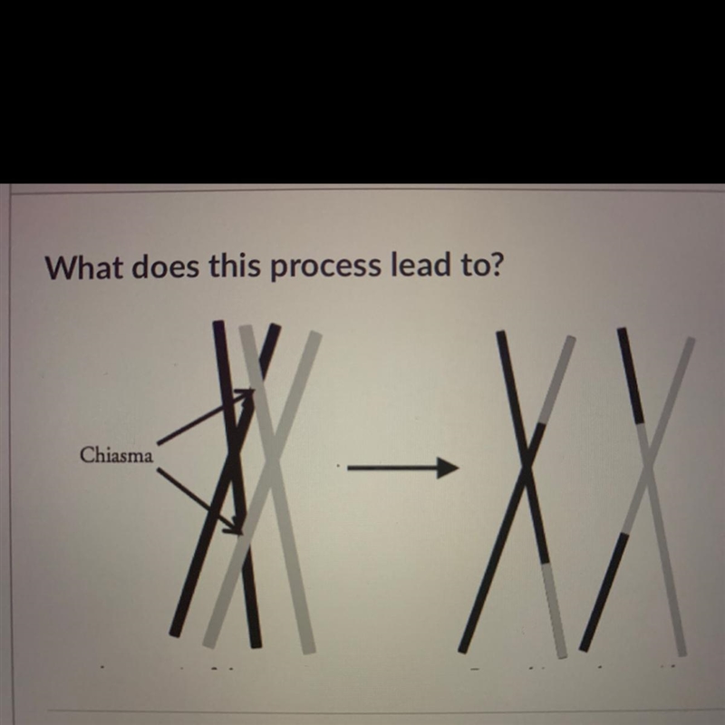 What does this process lead to? Chiasma-example-1