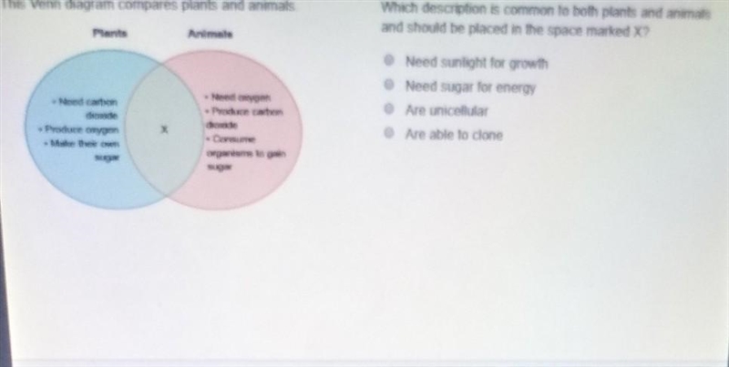 The venn diagram compares plants and animals which description is common to both plants-example-1