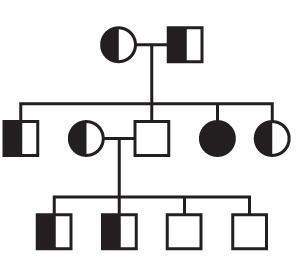 The diagram shows a pedigree for three generations: grandparents, parents, and grandchildren-example-1