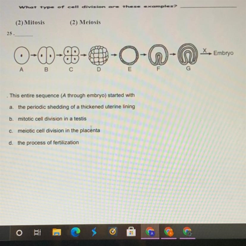 Answer 25 please thanks-example-1