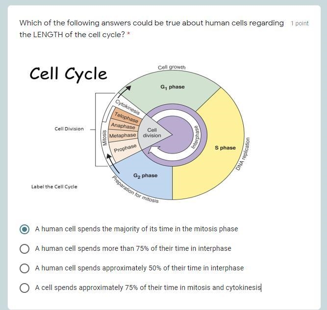 Which of the following answers could be true about human cells regarding the LENGTH-example-1