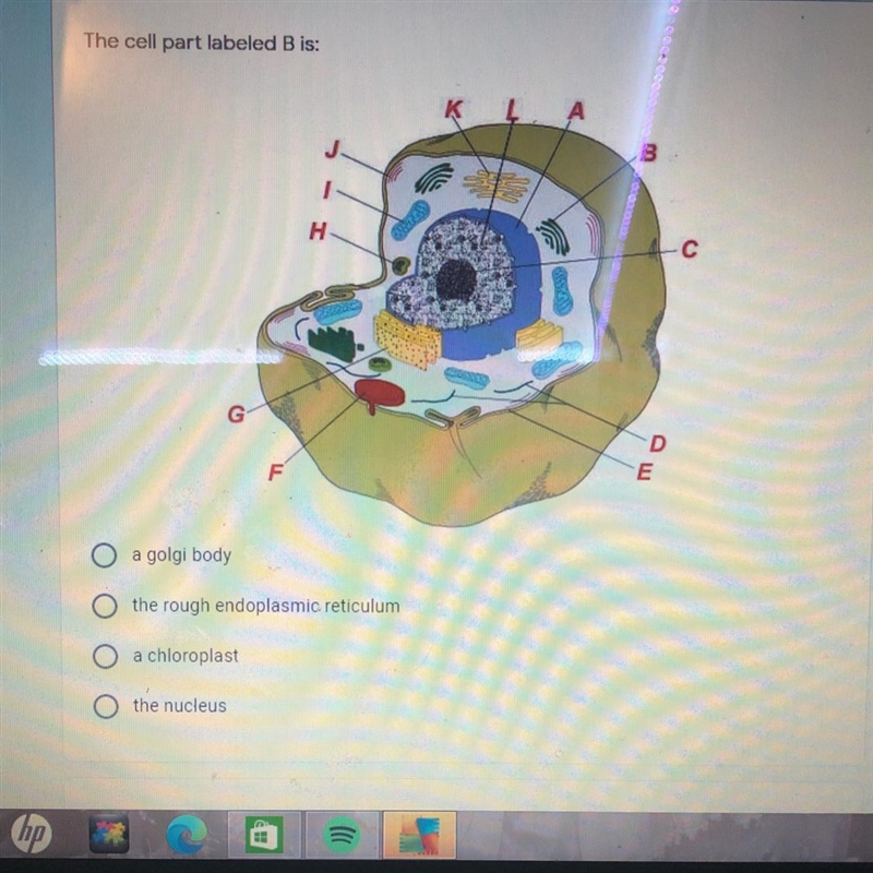 Please help me with this question:)-example-1