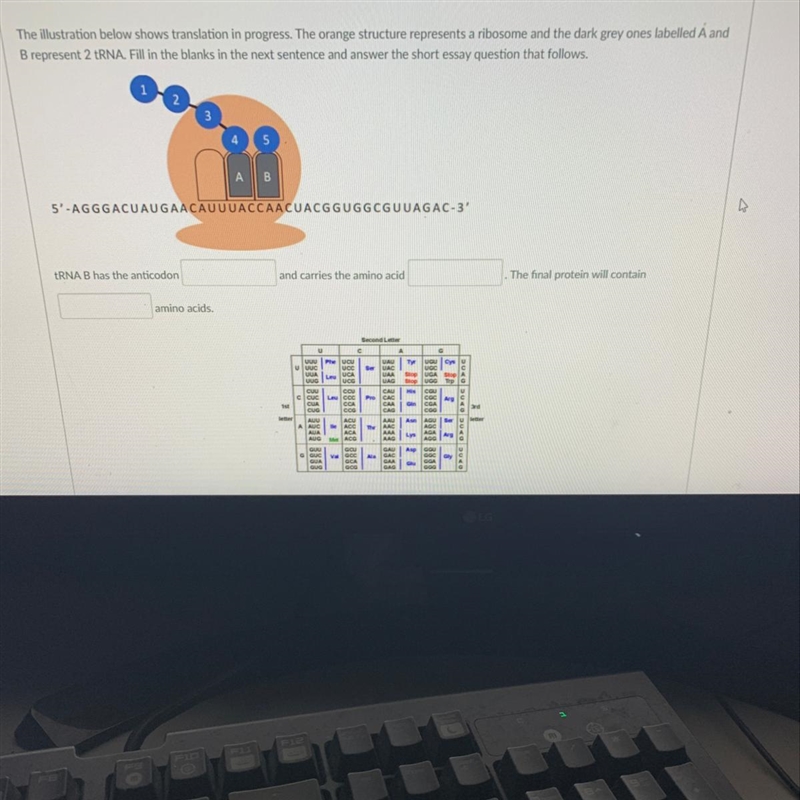 BUKU DL The illustration below shows translation in progress. The orange structure-example-1