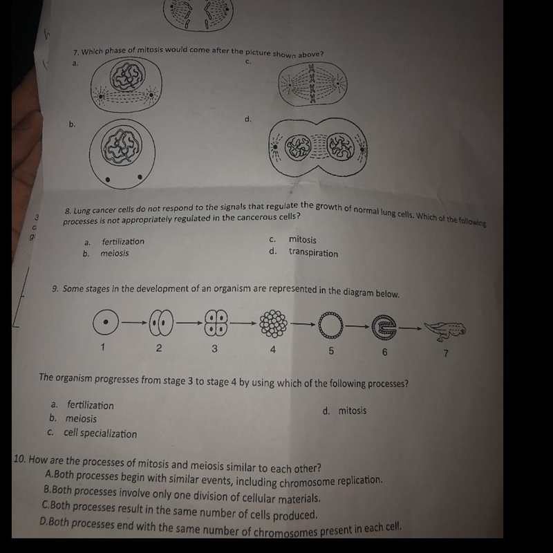 I need the answers asap please-example-1