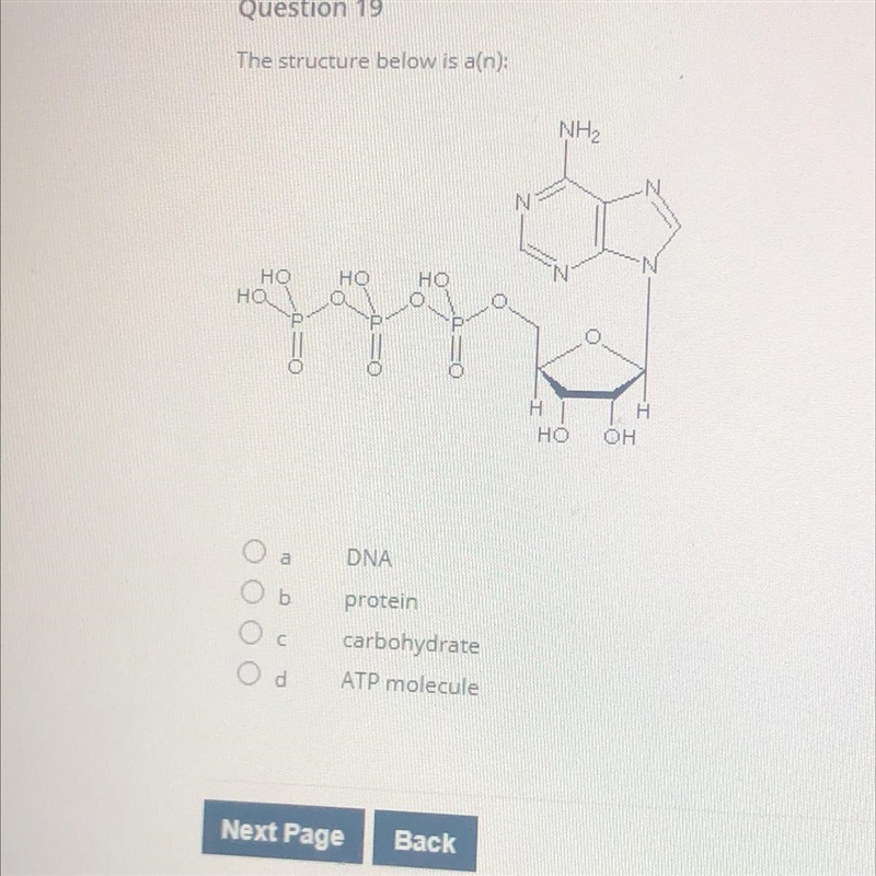 Any one know what structure this is-example-1