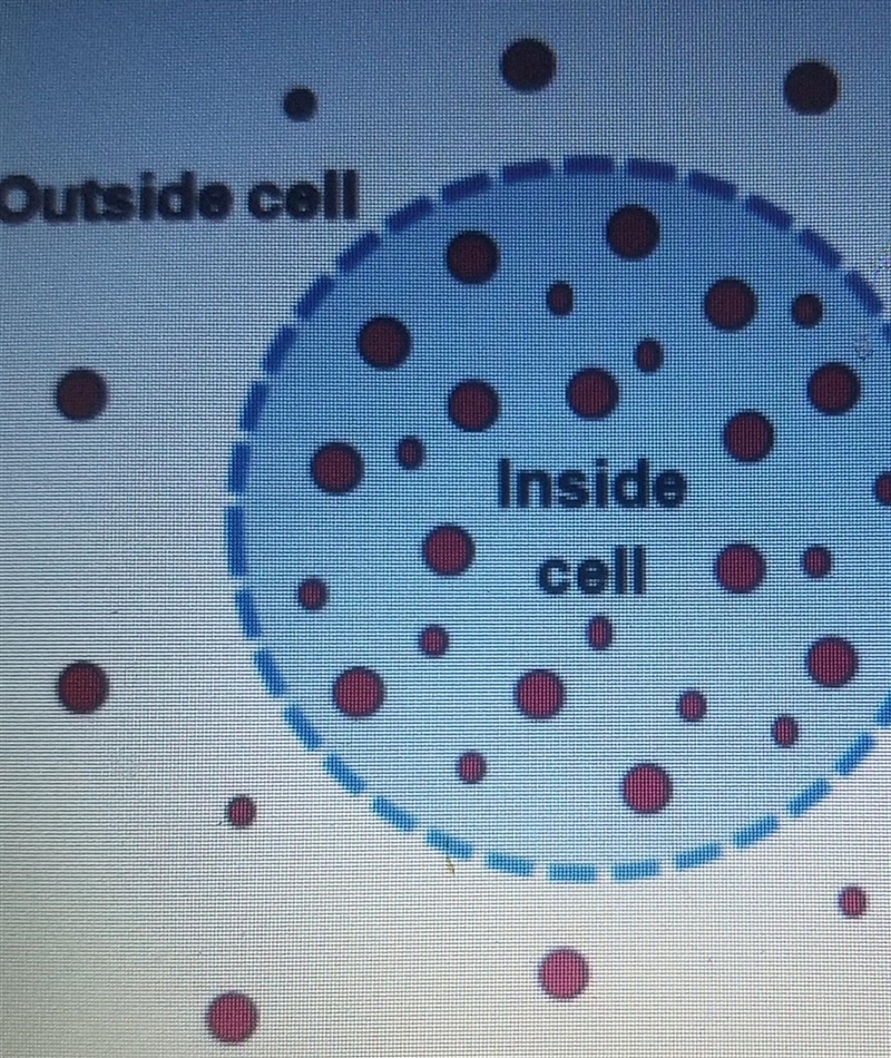 Use the image on the right to answer the following questions Compared to the outside-example-1