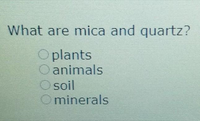 What are mica and quartz? A. plants B. animals C. soil D. minerals​-example-1