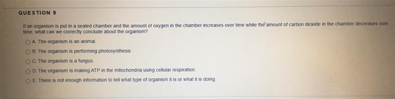 Which one is right??-example-1