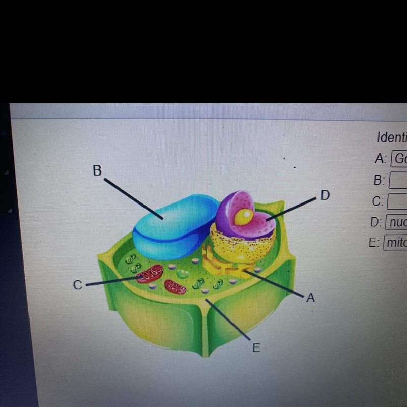 What’s the answer to this question?-example-1