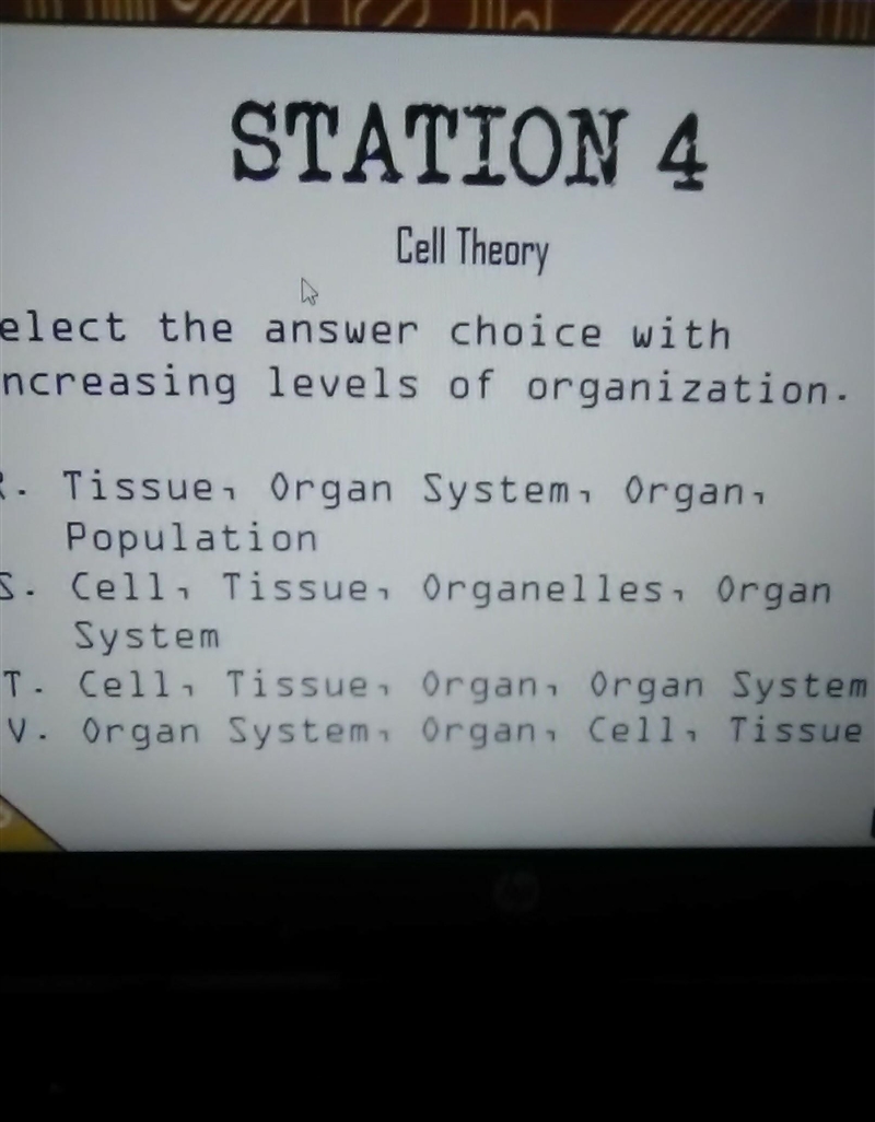 Select the answer choice with increased levels of organization​-example-1