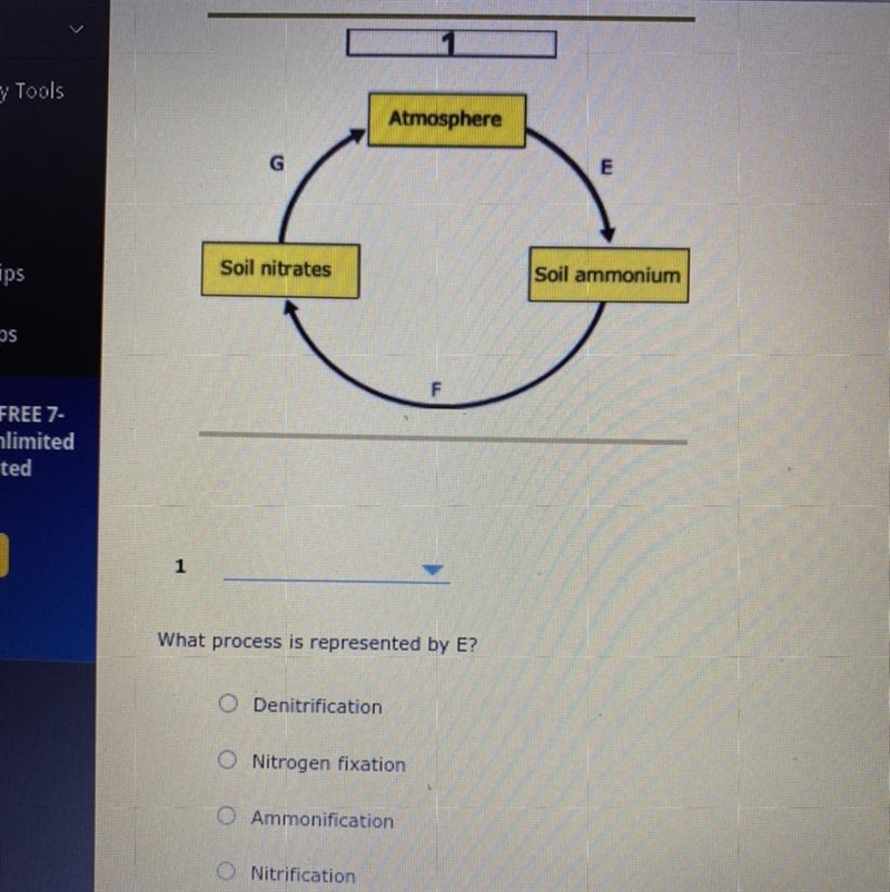 Helppp ASAP please, 10 points and a brainy-example-1